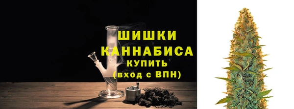 мет Протвино