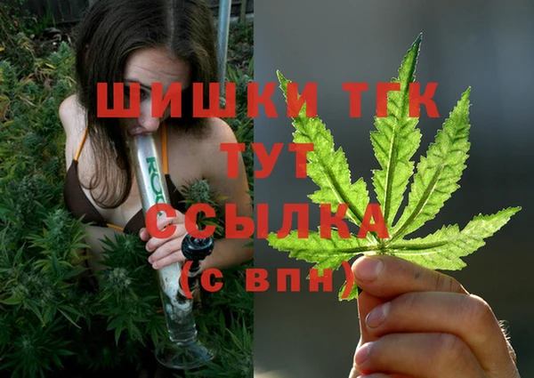 тгк Алексин