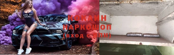 тгк Алексин